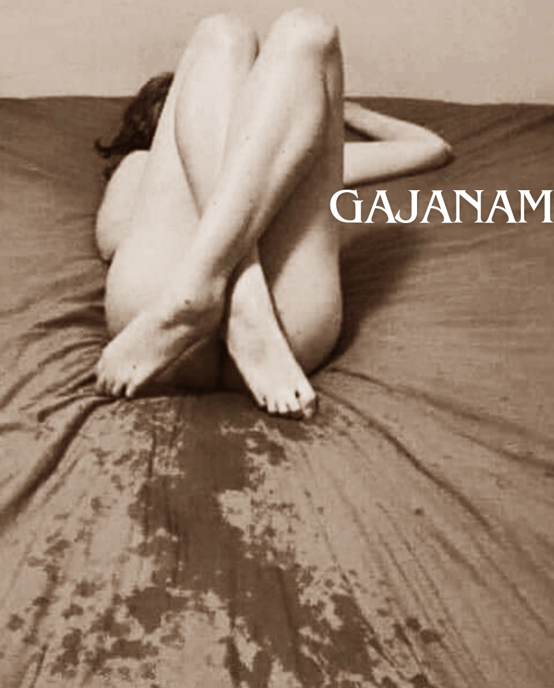 Gajanam_20240907_203113_0000